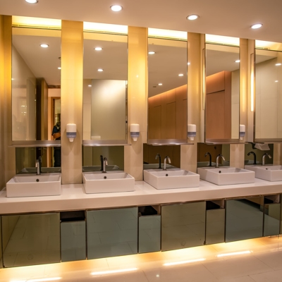 Five Tall Custom Mirrors in Commercial Bathroom